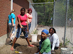 the gardeners