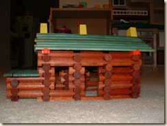 20100108_LogCabin05