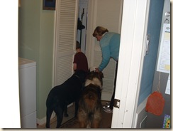 20100130_VisitingPony04