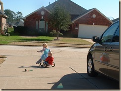 20100206_Tricycle03
