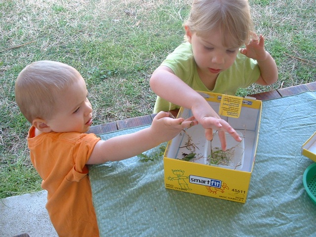 [20100326_Katydid062.jpg]