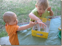 20100326_Katydid06