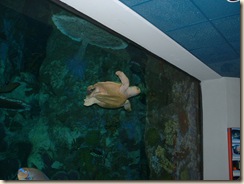 20091120_Aquarium12
