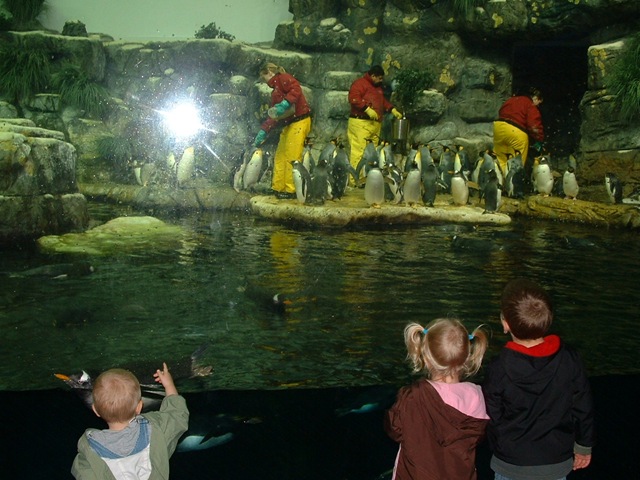 [20091120_Aquarium13[3].jpg]