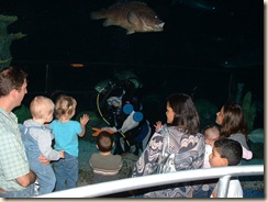 20091120_Aquarium20
