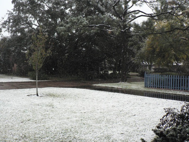 [20091204_GrannySnow01[3].jpg]