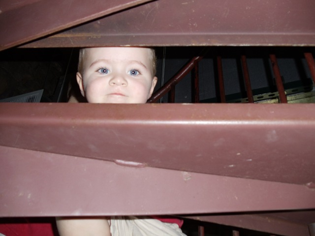 [DSC002694.jpg]
