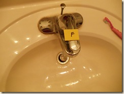 20100809_F_Faucet