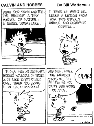 [CalvinSnowflake[11].gif]