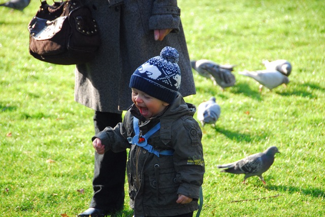 [DSC_01170069[2].jpg]