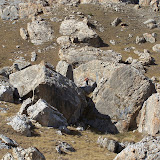 100_7573.JPG