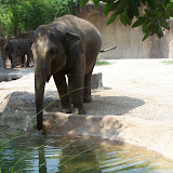 100_9813.JPG