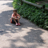 100_9745.JPG