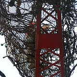 100_9854.JPG