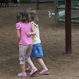 100_9889.JPG