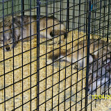 100_0026.JPG