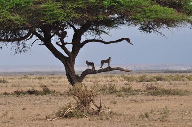 [Africa 2GB 057[2].jpg]