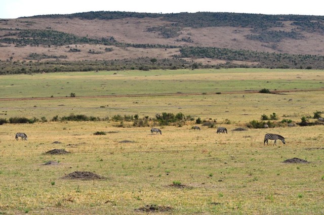 [Africa 2GB 351[2].jpg]