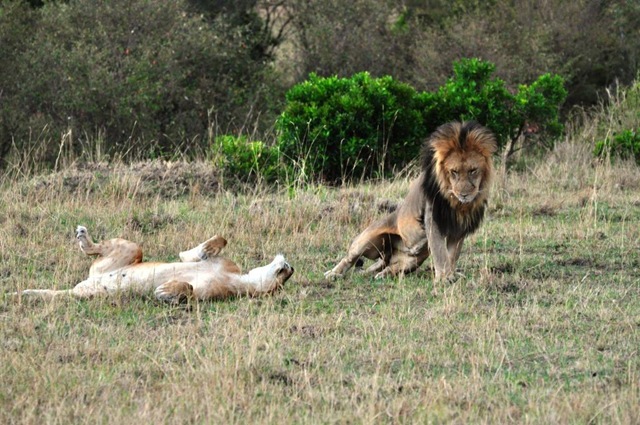 [Africa 2GB 410[2].jpg]