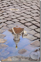Firenze2