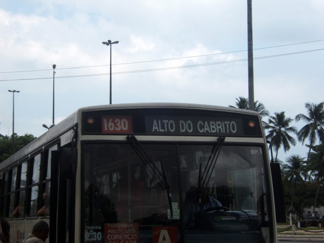 [DSCF44431.jpg]