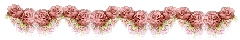 36 36