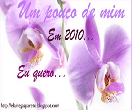 ano2010 ano2010