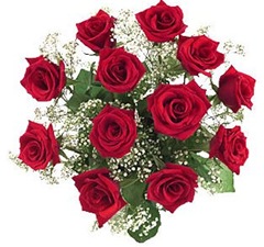 rosas1