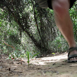 IMG_1554.JPG