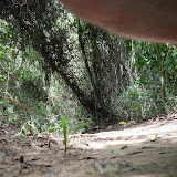 IMG_1555.JPG