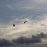 IMG_3123.JPG