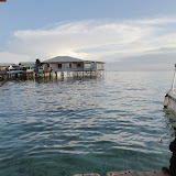 IMG_3223.JPG