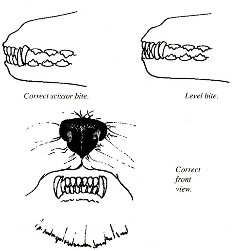 docs11
