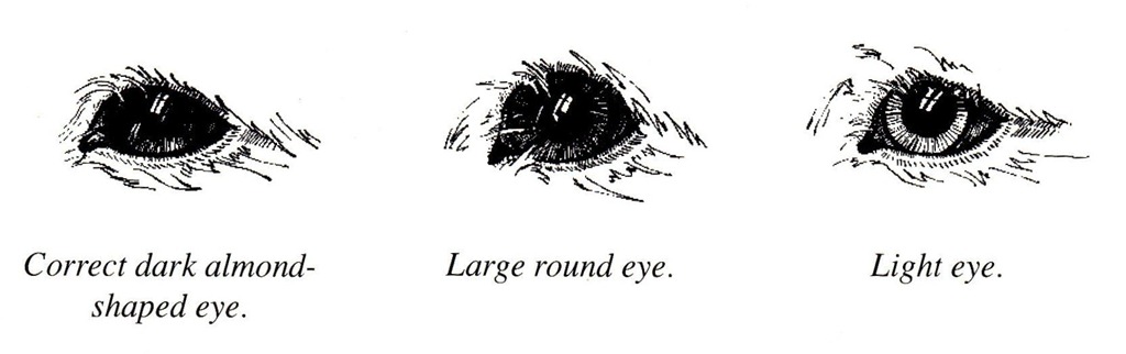 [eyes[6].jpg]
