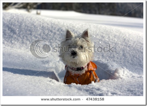 westi snow2 westi snow2