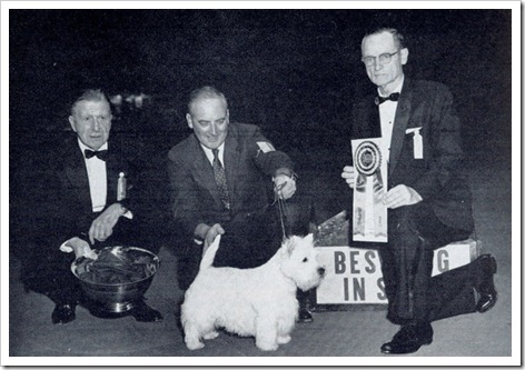 elfinbrook1962