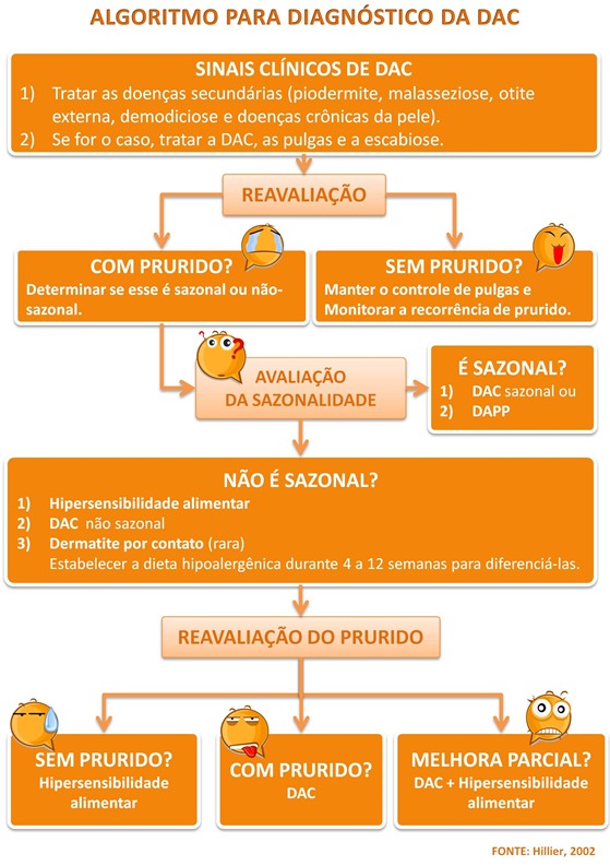 algoritimo