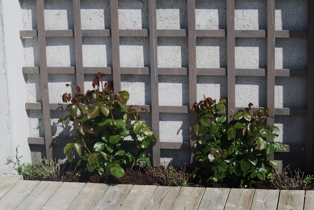 [27.06.20100644.jpg]