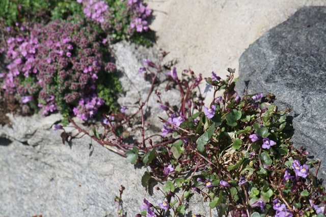 [27.06.20100743.jpg]