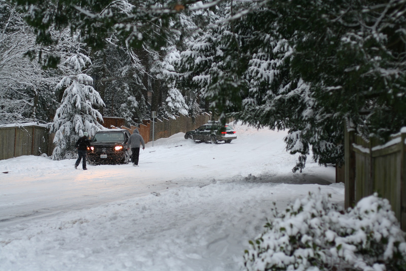 [IMG_1358 Cars sliding down[2].jpg]