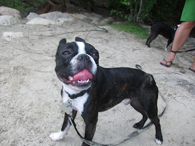 DSCF9509.JPG