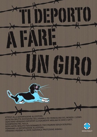 [campagna TI DEPORTO A FARE UN GIRO[4].jpg]