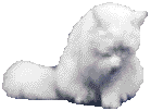 [gatto048.gif]