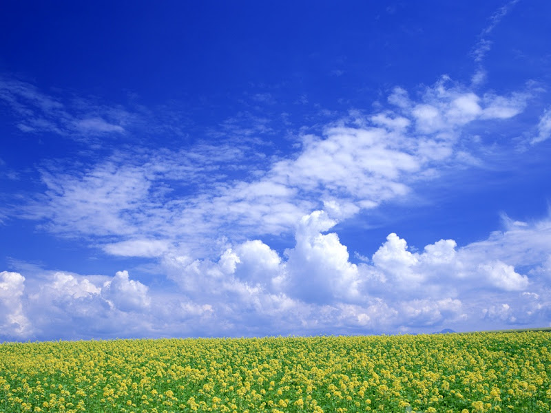 Blue sky wallpapers-Blue sky wallpapers