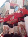 http://lh5.ggpht.com/_K8zYiW5EDX8/SfN38j9XfwI/AAAAAAAADgM/Qr5biT3ZNOk/P4190075.JPG