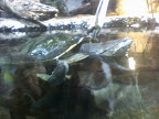 zoo