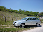 Dans les vignes ensoleillées.