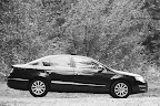 Lio67 passat d'automne