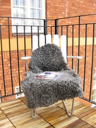 IMG_1092 IMG_1092