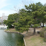 Ohorikoen